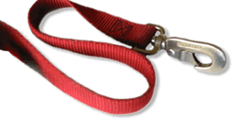 Labrador Puppy Breeder